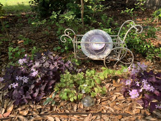 Cart and flower amid purple plants