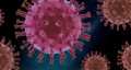 Is Sneezing a Corona Virus Symptom? Here Is What You Need to Know.