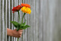 Inexpensive Yet Amazing Ways to Give