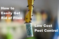 How to Easily Get Rid of Flies