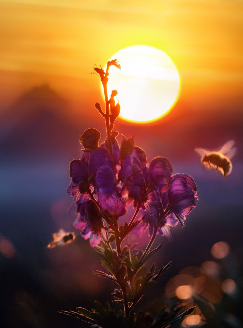 Be Your Own Light 