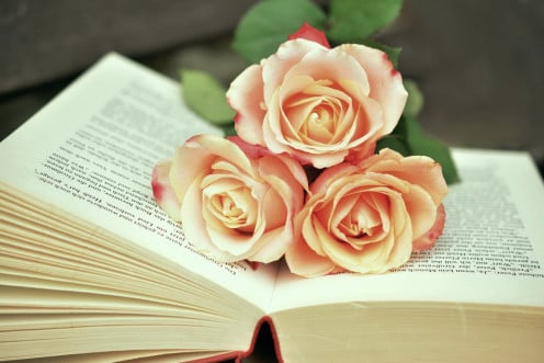 A rose that suits a book