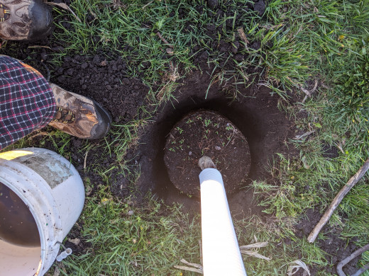place root ball in hole 