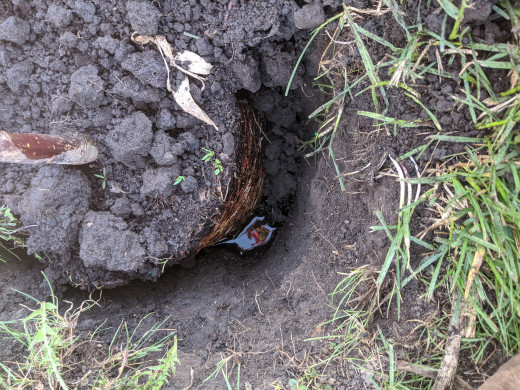you can see the water in the hole. Cover it up with dirt.