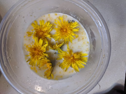 Dip flowers in milk and eggs wash