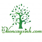 vuoncayxinh profile image