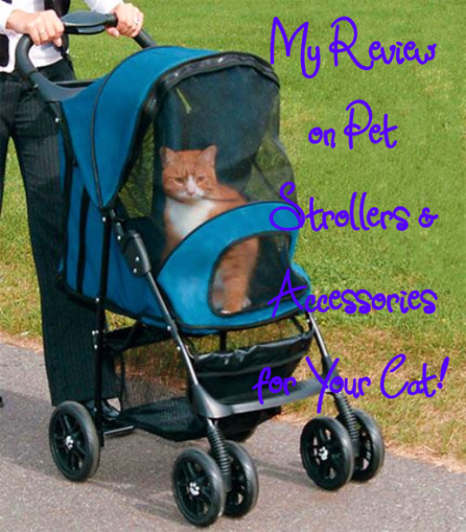 My Review on Pet Strollers & Accessories for Your Cat HubPages
