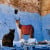 Chefchaouen is home to a large population of cats