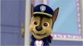 Do We Really Need To Protest Paw Patrol?