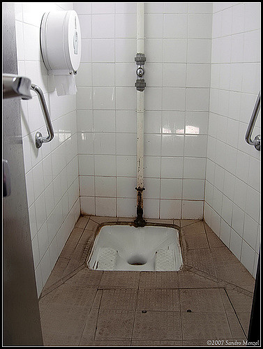 French squat or standing toilet.