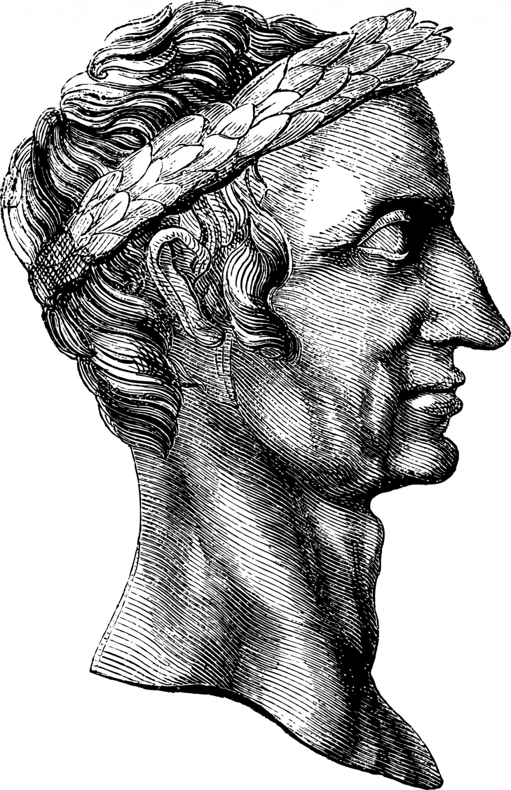 What I Learned From Julius Caesar | HubPages