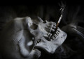 Smoking Is Harmful yet Popular , 'Why'?