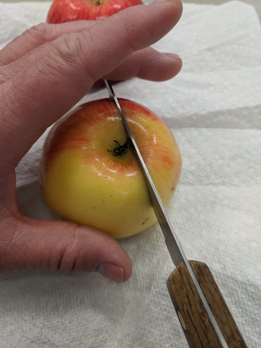 Cut downward around stem. Cut. Turn apple. Cut. Continue around entire apple.. discard core 