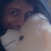 Shraddha26 profile image