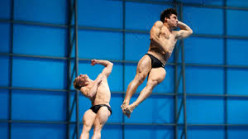 10 Facts About Diving