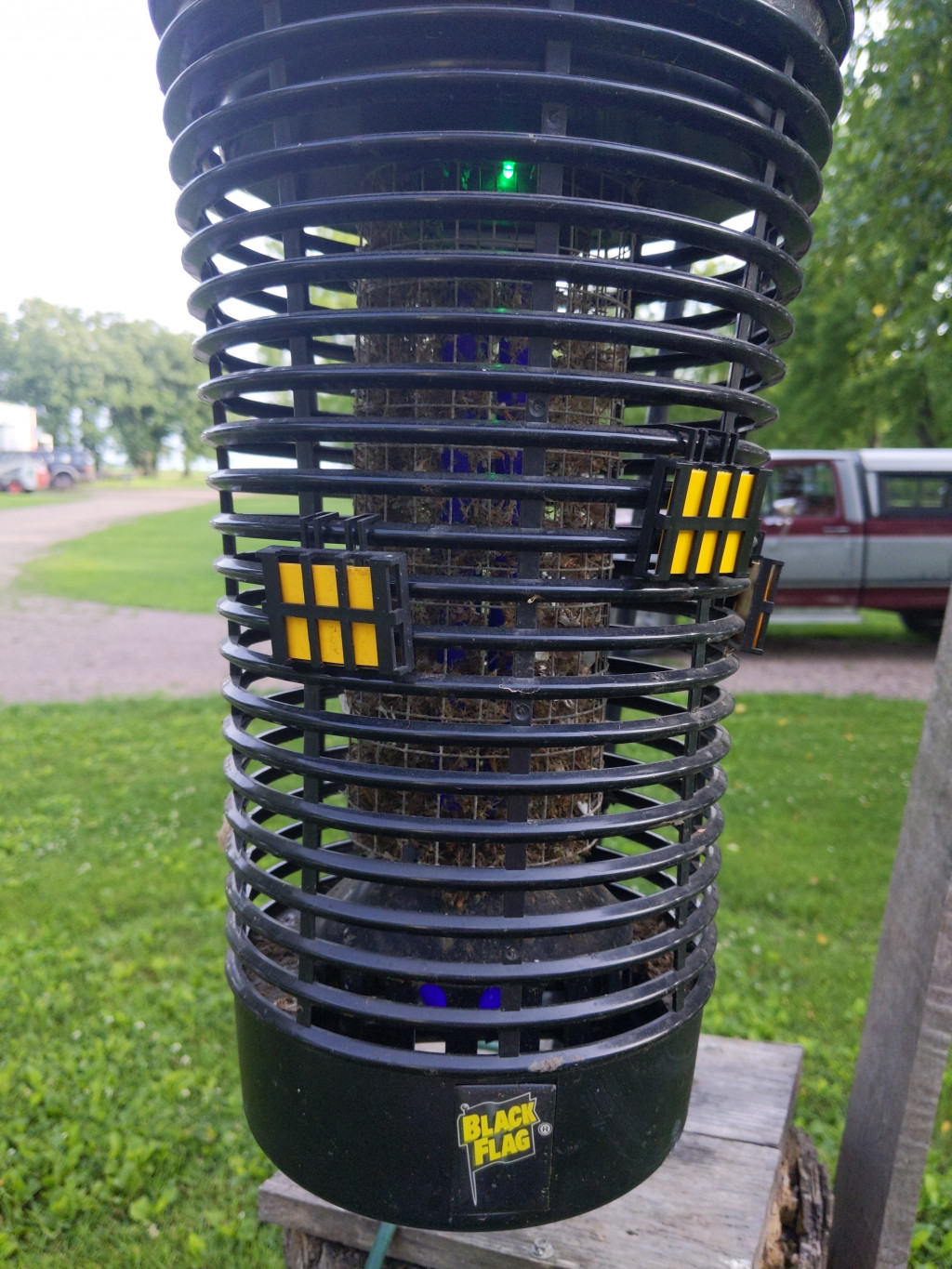 Bug Zappers Need to Be Cleaned HubPages