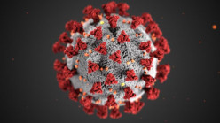 Is Covid-19 a Pandemic or More Like a Seasonal Flu?