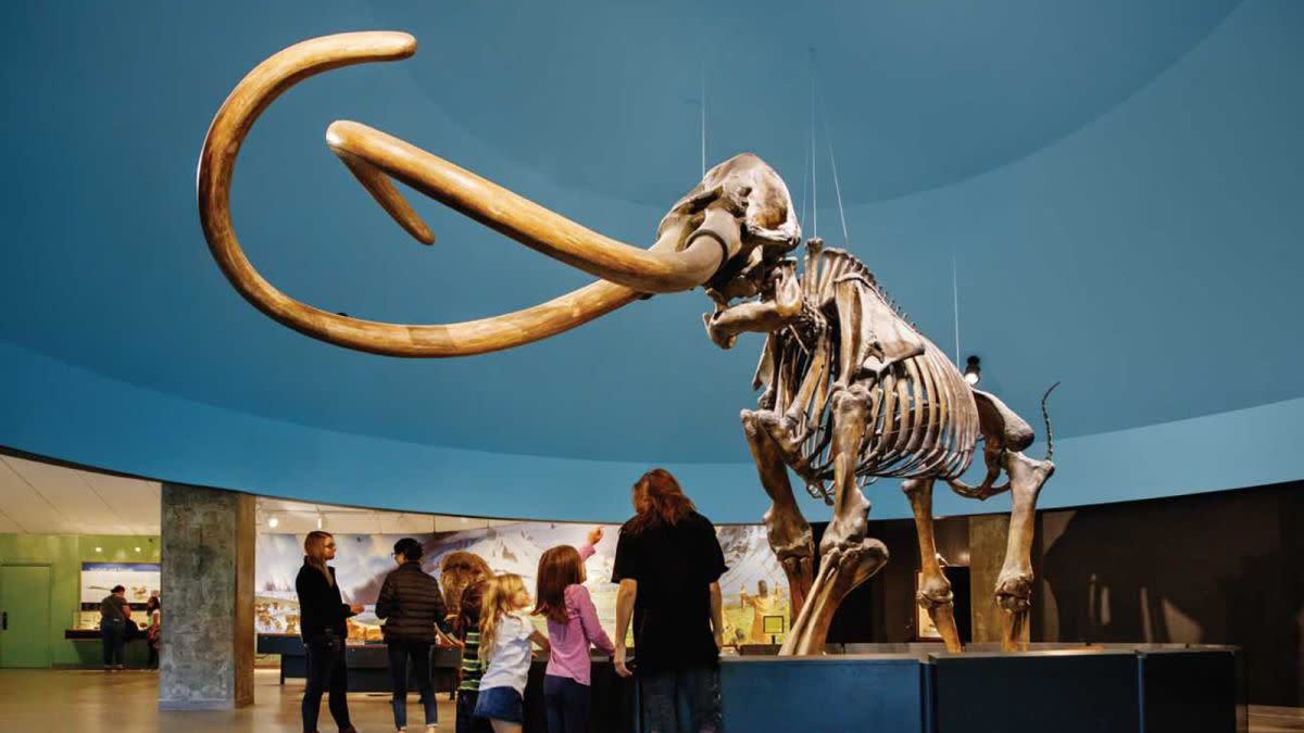 "ZED" Mammoth of Tar Pits