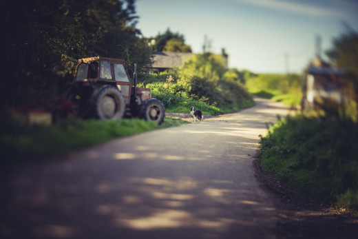 Tractor & Farm Dog - focus is pretty much a matter of moving the lens backwards and forwards!