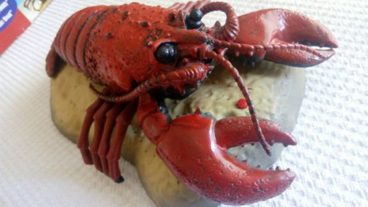 Rocky Lobster
