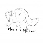 Mustelid Madness profile image