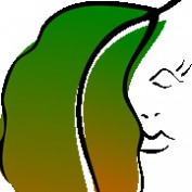 teamaria profile image