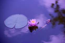 Yoga and Meditation Enhance Medical Treatments