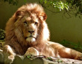 Factors to Consider as You Travel to Kenya
