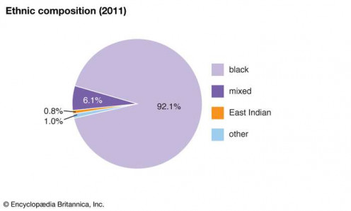 Jamaica's Ethnicity Chart (2011)