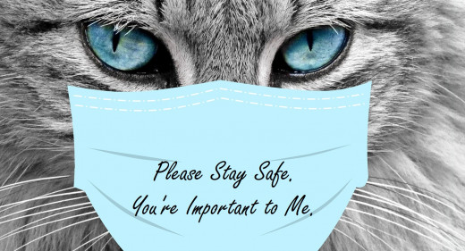 Manatita challenged me to show a kitty with a protective mask. 