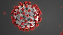 What Is the Coronavirus?