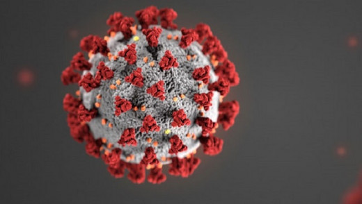 The Coronavirus (SARS Cov-2)