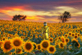 6 Things That Will Keep You Alive When the World Ends