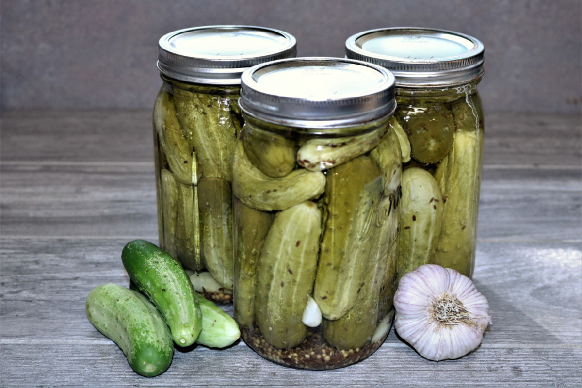 Three jars of our home made dill pickles.