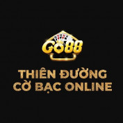 taigo88vn profile image