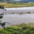 River View