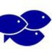 memfish profile image