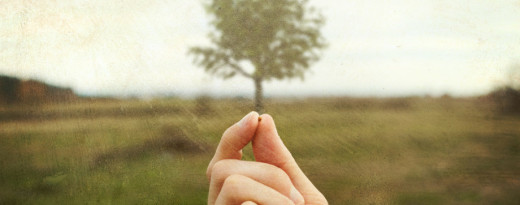 Faith of a mustard seed...