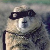 Alan Kaschner profile image