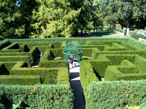 Garden maze, a maze for humans to have fun in! 