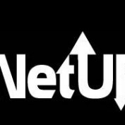 netupvn profile image