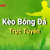 tylebongdahomnay profile image