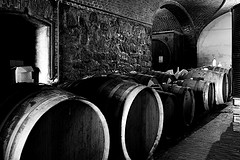 The Cellar and Wine barrels. The Cellar and Wine barrels.