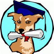 malibudogtraining profile image