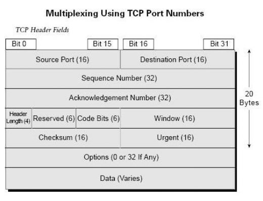 Порт tcp ip. TCP/IP порт. Заголовок TCP. Поля заголовка TCP. Bfcp протокол.