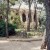 Lots of organic shapes in Guell Park Lots of organic shapes in Guell Park