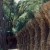 Support columns in Guell Park Support columns in Guell Park