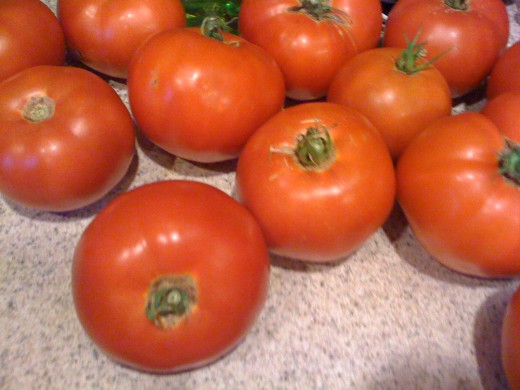 Fresh Home Grown Tomatoes