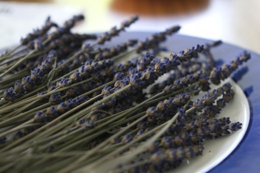 Freshly cut lavender flowers by Lexipexi