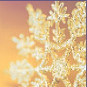 Elena.Snowflake profile image